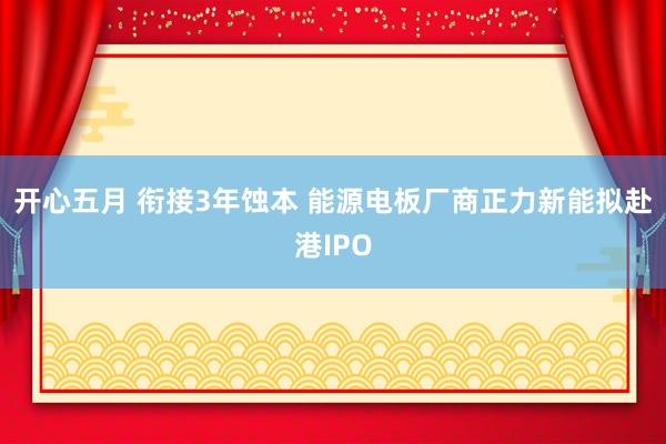 开心五月 衔接3年蚀本 能源电板厂商正力新能拟赴港IPO