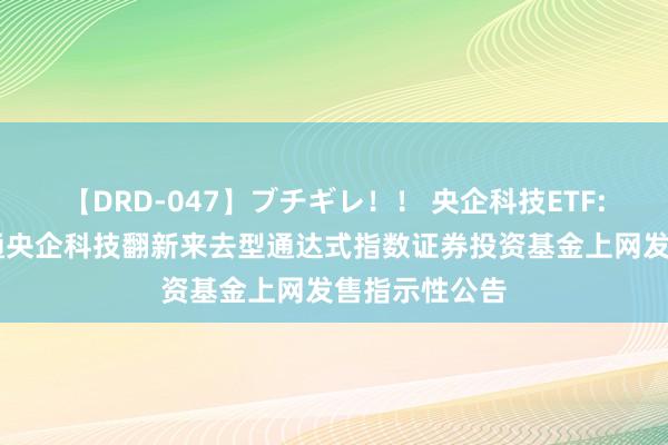 【DRD-047】ブチギレ!! 央企科技ETF: 融通中证诚通央企科技翻新来去型通达式指数证券投资基金上网发售指示性公告