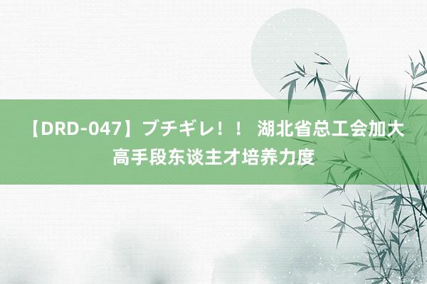 【DRD-047】ブチギレ！！ 湖北省总工会加大高手段东谈主才培养力度