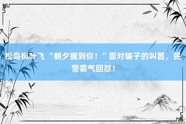 松岛枫叶飞 “朝夕握到你！”面对骗子的叫嚣，民警霸气回怼！