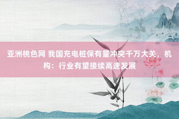 亚洲桃色网 我国充电桩保有量冲突千万大关，机构：行业有望接续高速发展