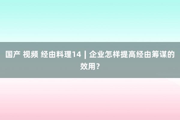 国产 视频 经由料理14∣企业怎样提高经由筹谋的效用？