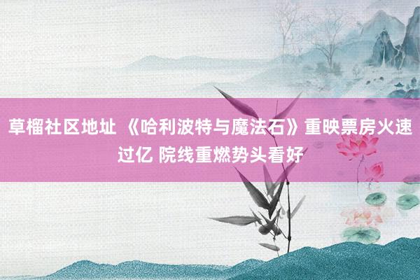 草榴社区地址 《哈利波特与魔法石》重映票房火速过亿 院线重燃势头看好
