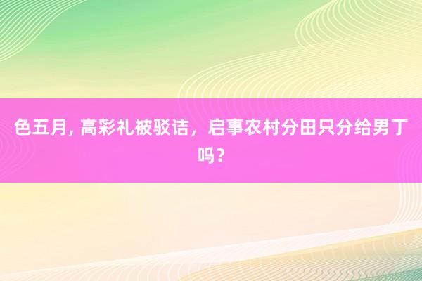 色五月, 高彩礼被驳诘，启事农村分田只分给男丁吗？
