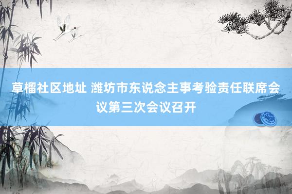 草榴社区地址 潍坊市东说念主事考验责任联席会议第三次会议召开