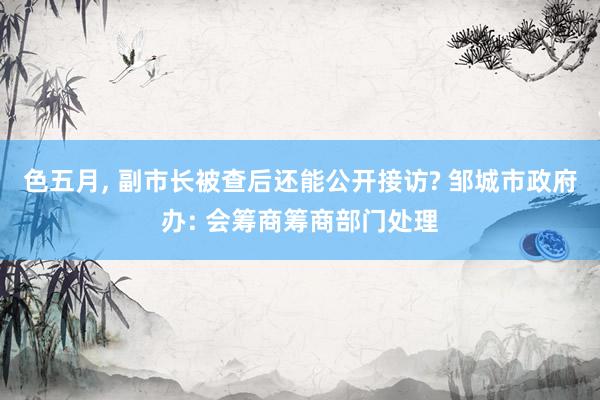 色五月, 副市长被查后还能公开接访? 邹城市政府办: 会筹商筹商部门处理