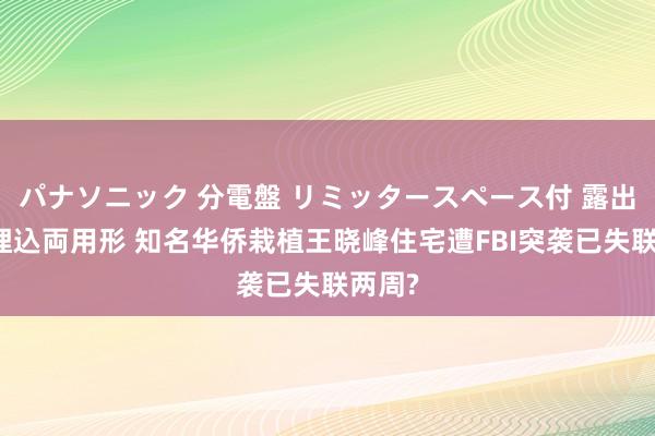 パナソニック 分電盤 リミッタースペース付 露出・半埋込両用形 知名华侨栽植王晓峰住宅遭FBI突袭已失联两周?