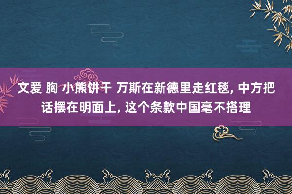 文爱 胸 小熊饼干 万斯在新德里走红毯, 中方把话摆在明面上, 这个条款中国毫不搭理