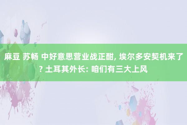 麻豆 苏畅 中好意思营业战正酣, 埃尔多安契机来了? 土耳其外长: 咱们有三大上风