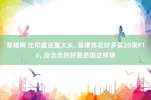 草榴网 比印度还冤大头, 菲律宾花好多买20架F16, 没念念到好意思国这样狠