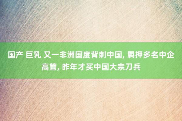 国产 巨乳 又一非洲国度背刺中国, 羁押多名中企高管, 昨年才买中国大宗刀兵