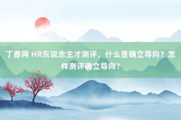 丁香网 HR东说念主才测评，什么是确立导向？怎样测评确立导向？