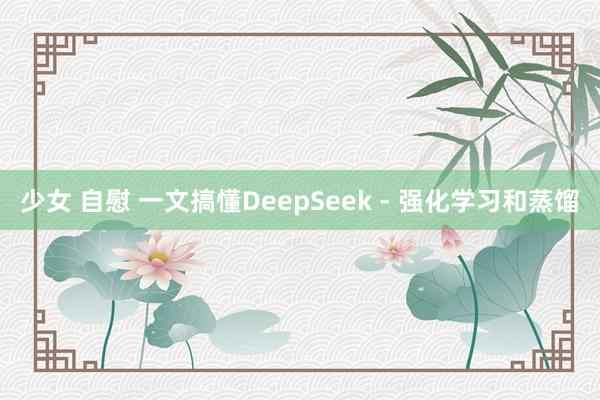 少女 自慰 一文搞懂DeepSeek - 强化学习和蒸馏