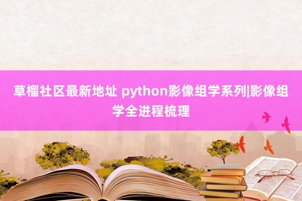 草榴社区最新地址 python影像组学系列|影像组学全进程梳理