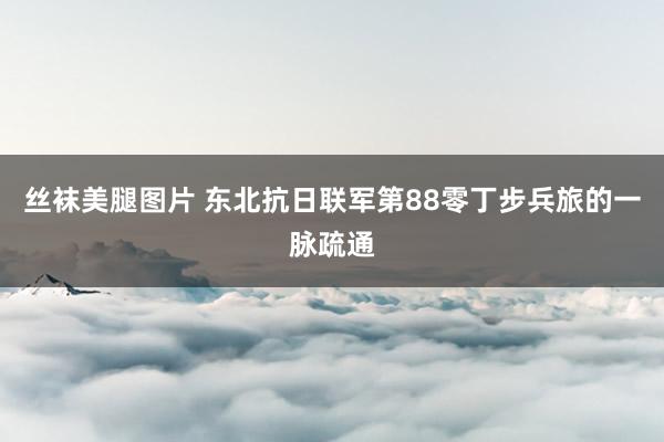 丝袜美腿图片 东北抗日联军第88零丁步兵旅的一脉疏通
