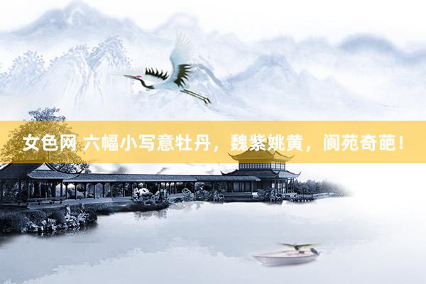 女色网 六幅小写意牡丹，魏紫姚黄，阆苑奇葩！