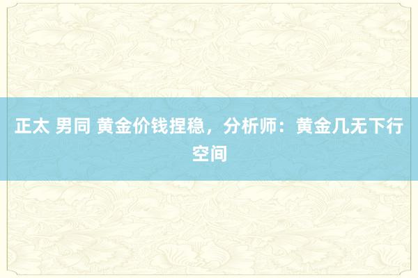 正太 男同 黄金价钱捏稳，分析师：黄金几无下行空间